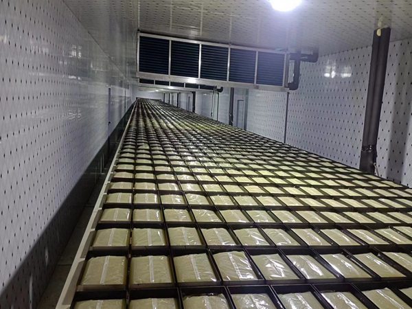 青島賽邦的自動搬運(yùn)機(jī)器人生產(chǎn)線圖